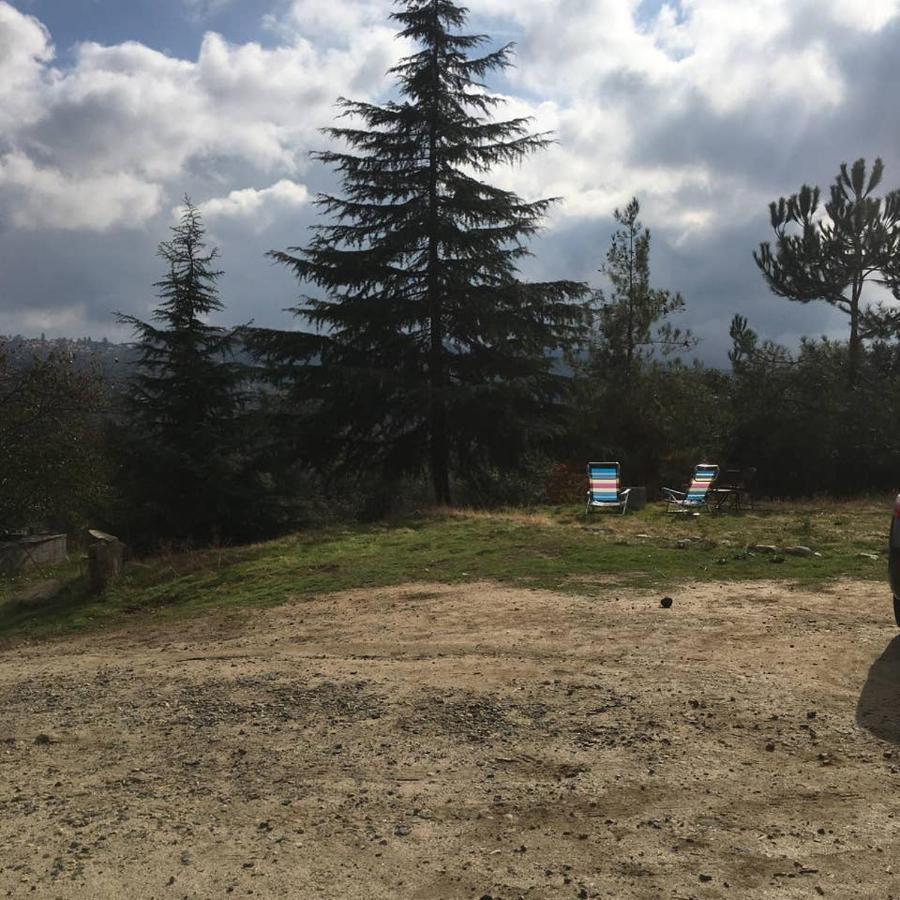 Sequoia Forest Retreat Badger 外观 照片